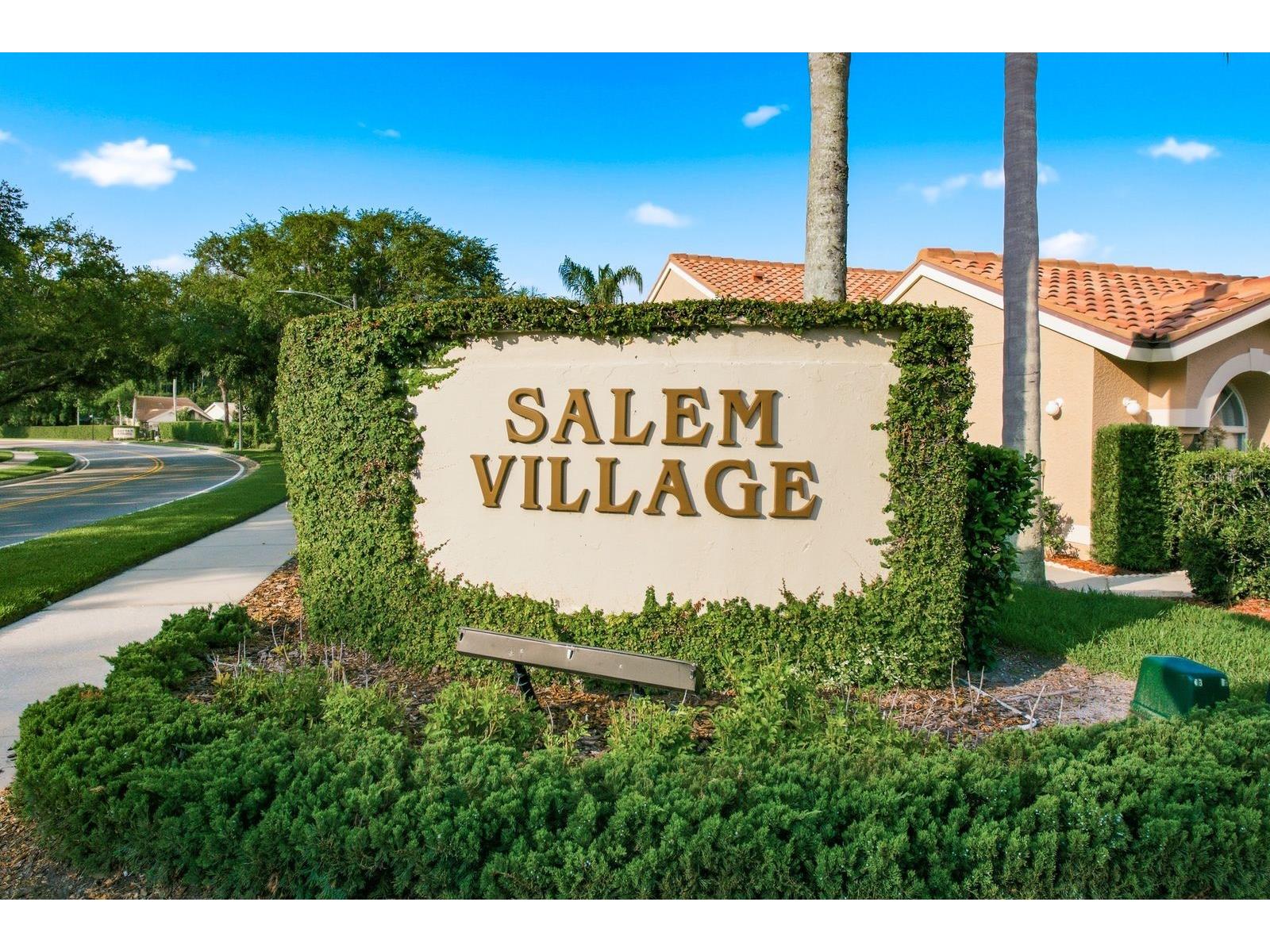 3857 Timber Ridge Court Palm Harbor FL 34685 TB8525622 image41