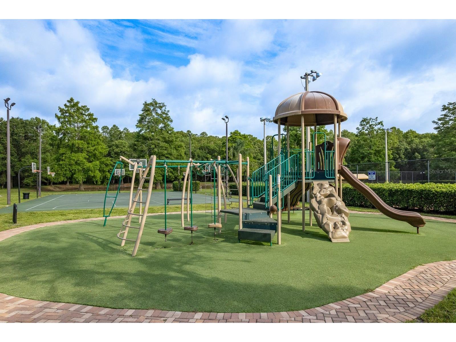 3857 Timber Ridge Court Palm Harbor FL 34685 TB8525622 image45