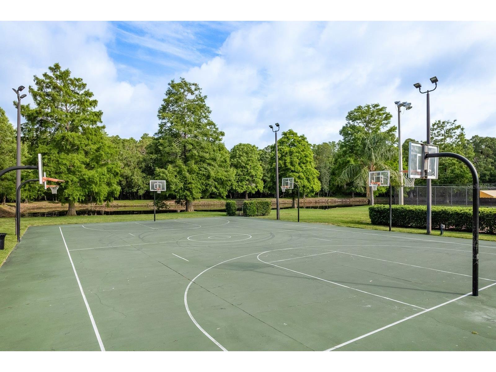 3857 Timber Ridge Court Palm Harbor FL 34685 TB8525622 image46