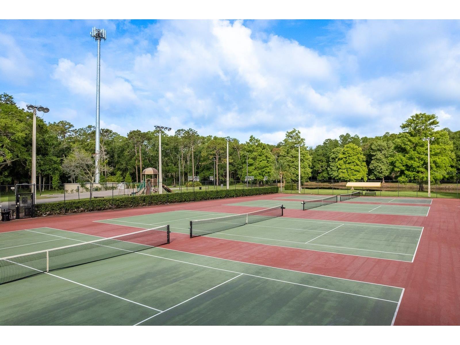 3857 Timber Ridge Court Palm Harbor FL 34685 TB8525622 image47