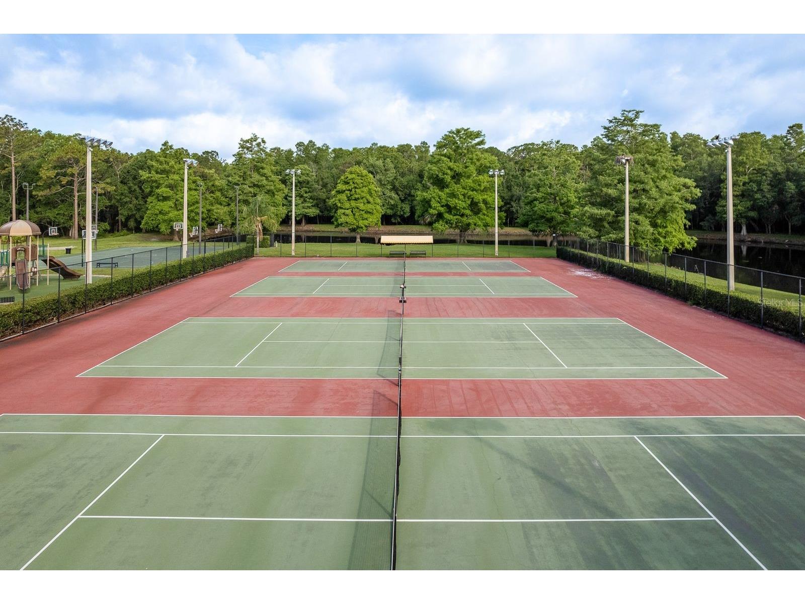 3857 Timber Ridge Court Palm Harbor FL 34685 TB8525622 image48