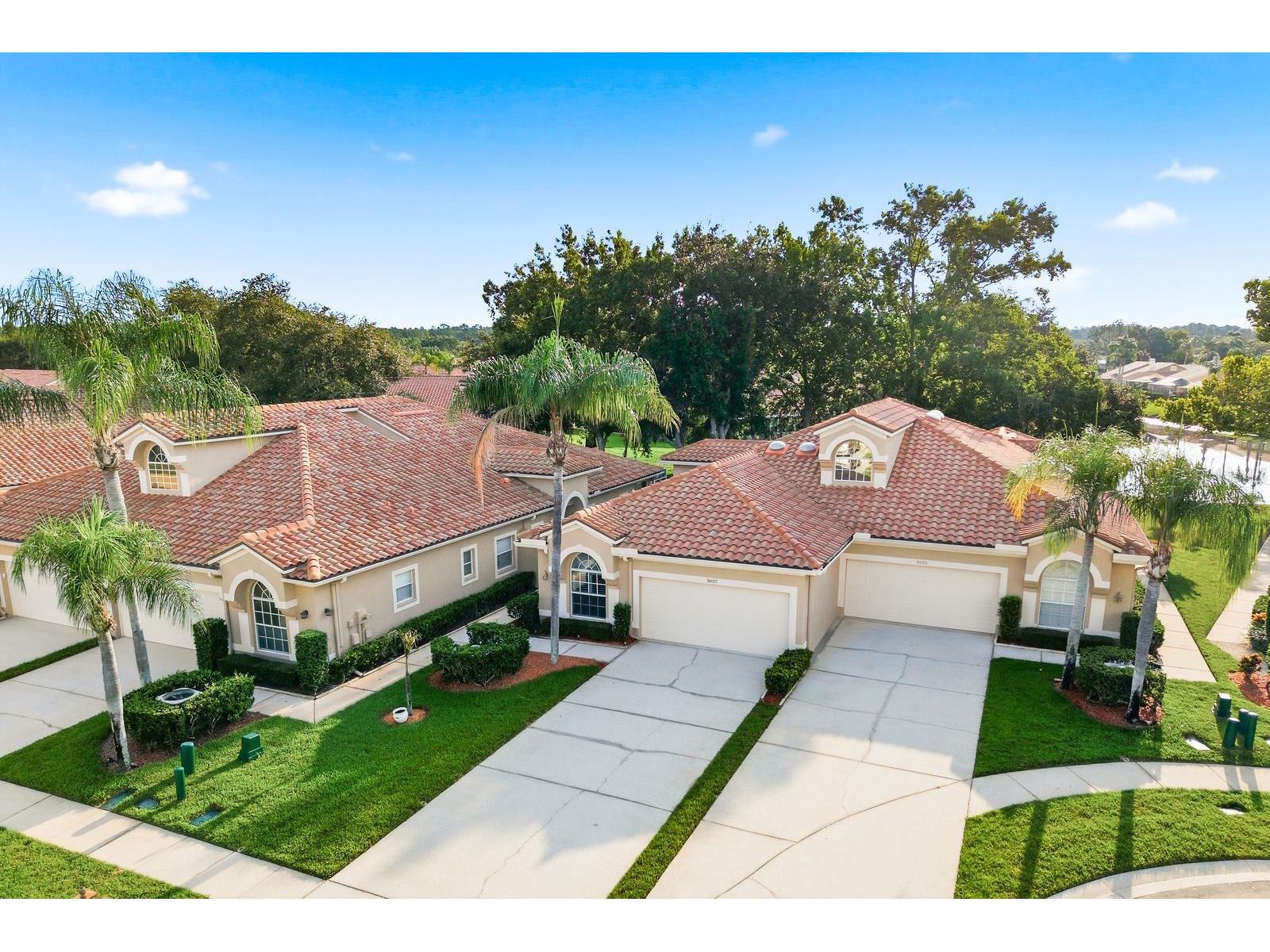 3857 Timber Ridge Court Palm Harbor FL 34685 TB8525622 image49