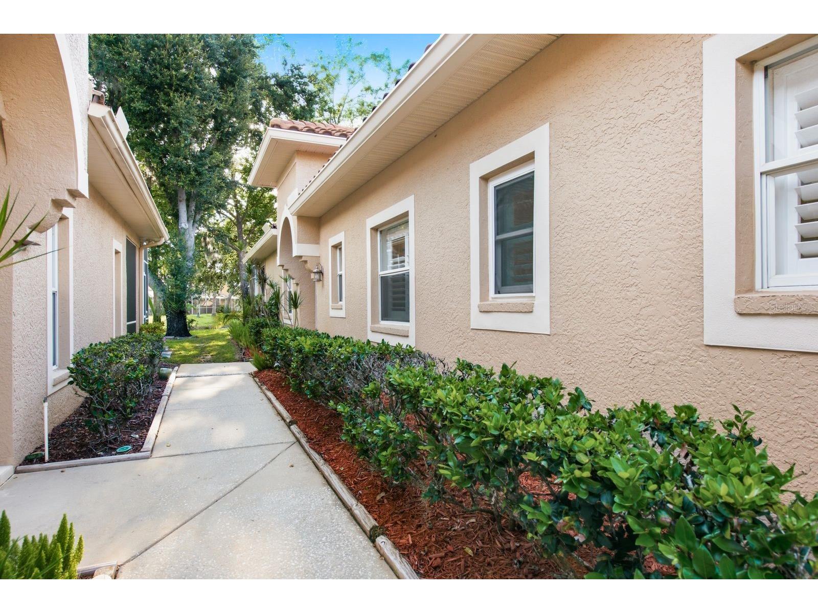 3857 Timber Ridge Court Palm Harbor FL 34685 TB8525622 image5