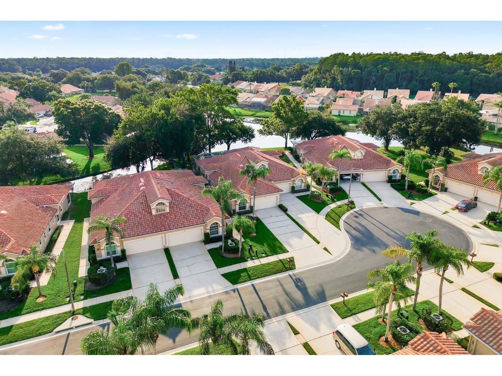 3857 Timber Ridge Court Palm Harbor FL 34685 TB8525622 image51
