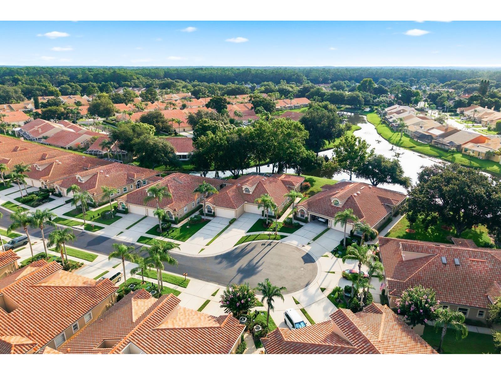 3857 Timber Ridge Court Palm Harbor FL 34685 TB8525622 image52