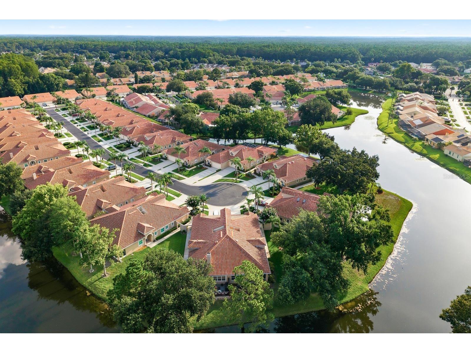 3857 Timber Ridge Court Palm Harbor FL 34685 TB8525622 image53