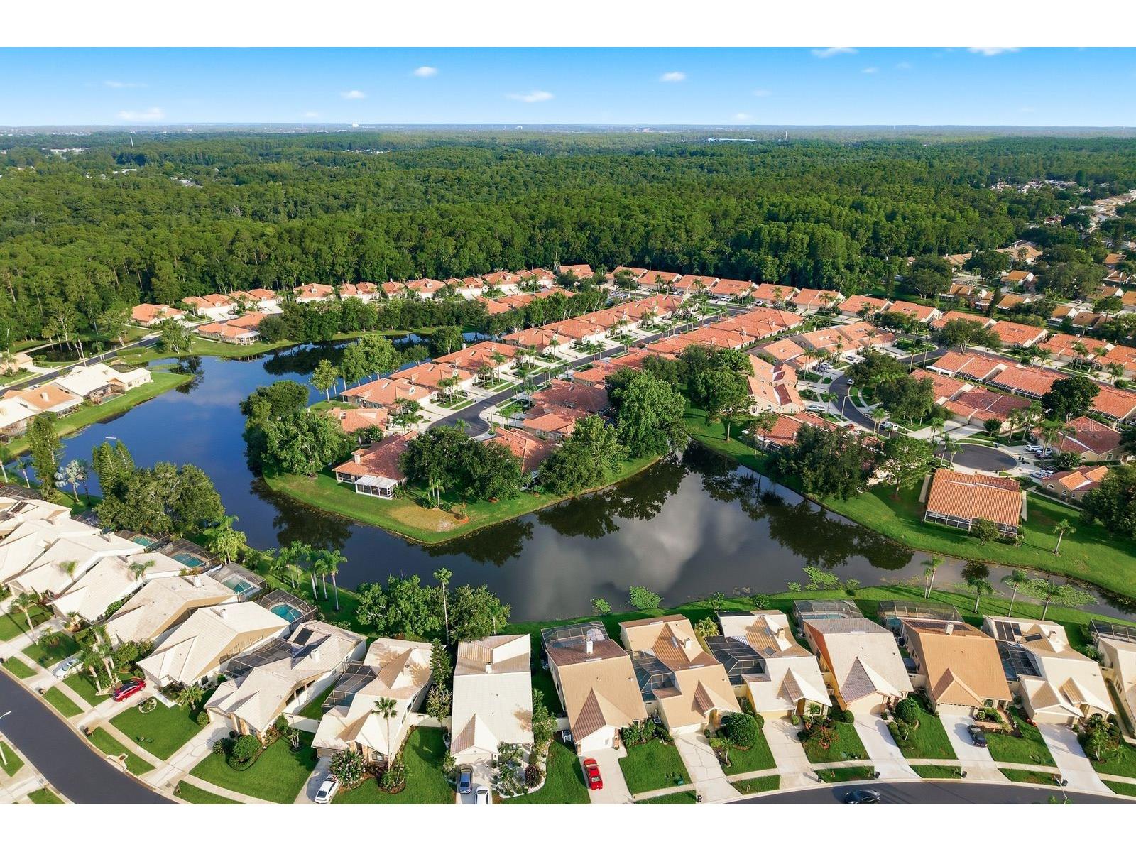 3857 Timber Ridge Court Palm Harbor FL 34685 TB8525622 image54