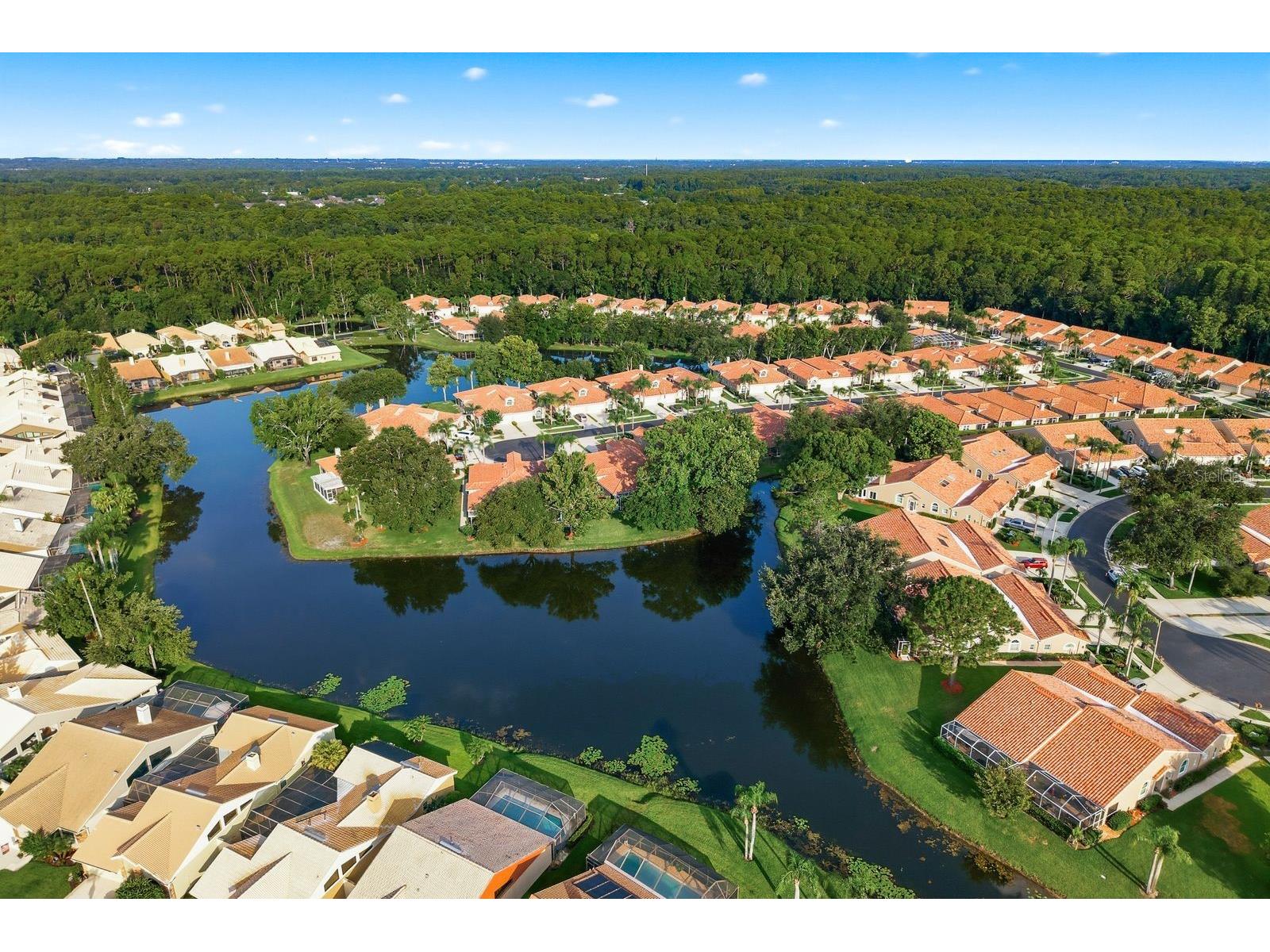 3857 Timber Ridge Court Palm Harbor FL 34685 TB8525622 image55