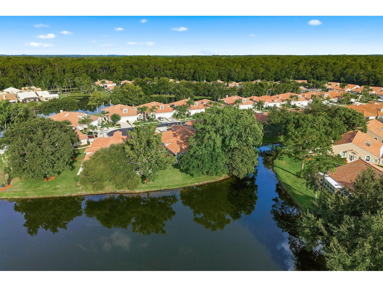 3857 Timber Ridge Court Palm Harbor FL 34685 TB8525622 image56