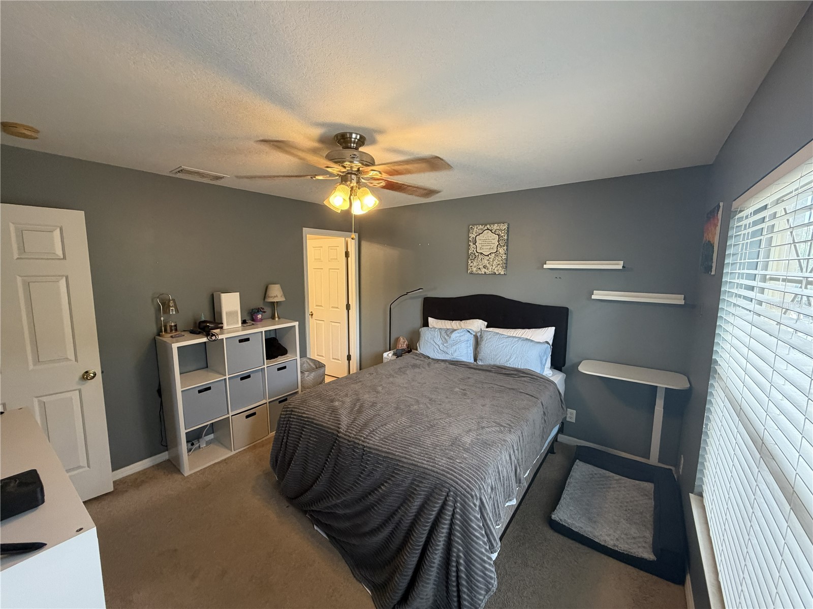 3858 Island Way Saint Petersburg FL 33705 TB8474029 image11