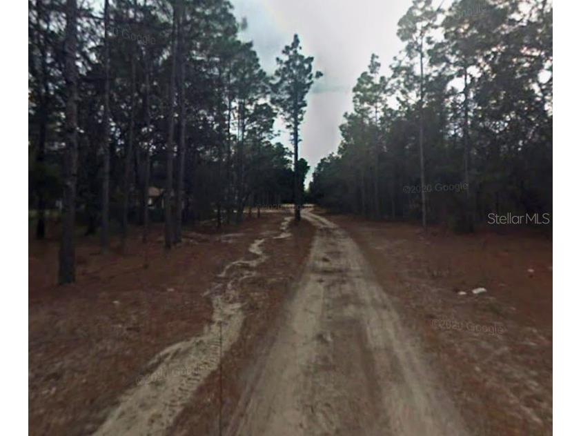 3858 S Osprey Point Inverness FL 34450 OM716344 image3