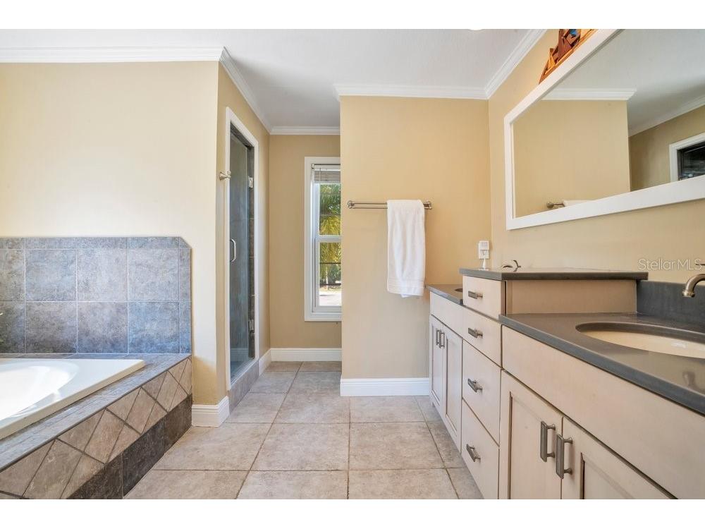 3858 Shore Boulevard Oldsmar FL 34677 TB8506221 image33
