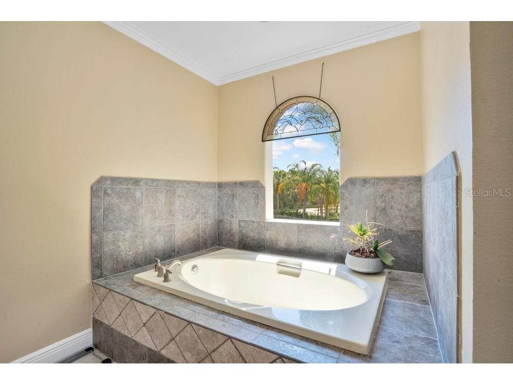 3858 Shore Boulevard Oldsmar FL 34677 TB8506221 image35