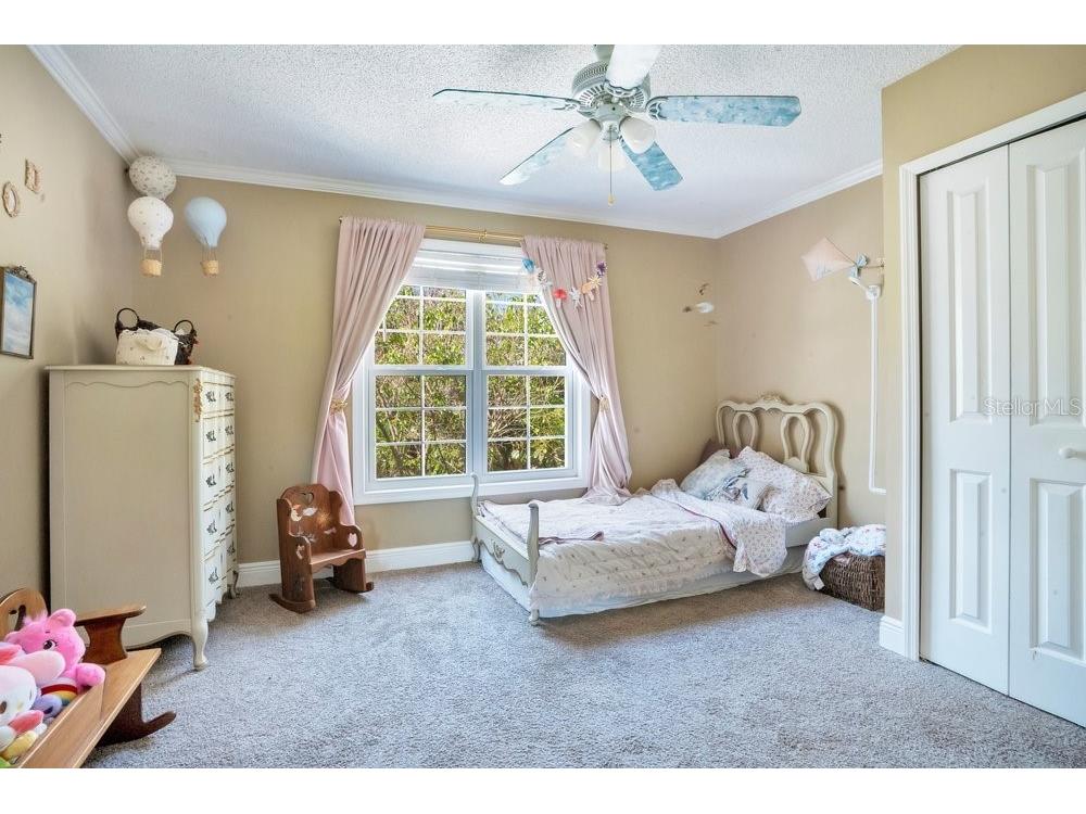 3858 Shore Boulevard Oldsmar FL 34677 TB8506221 image39