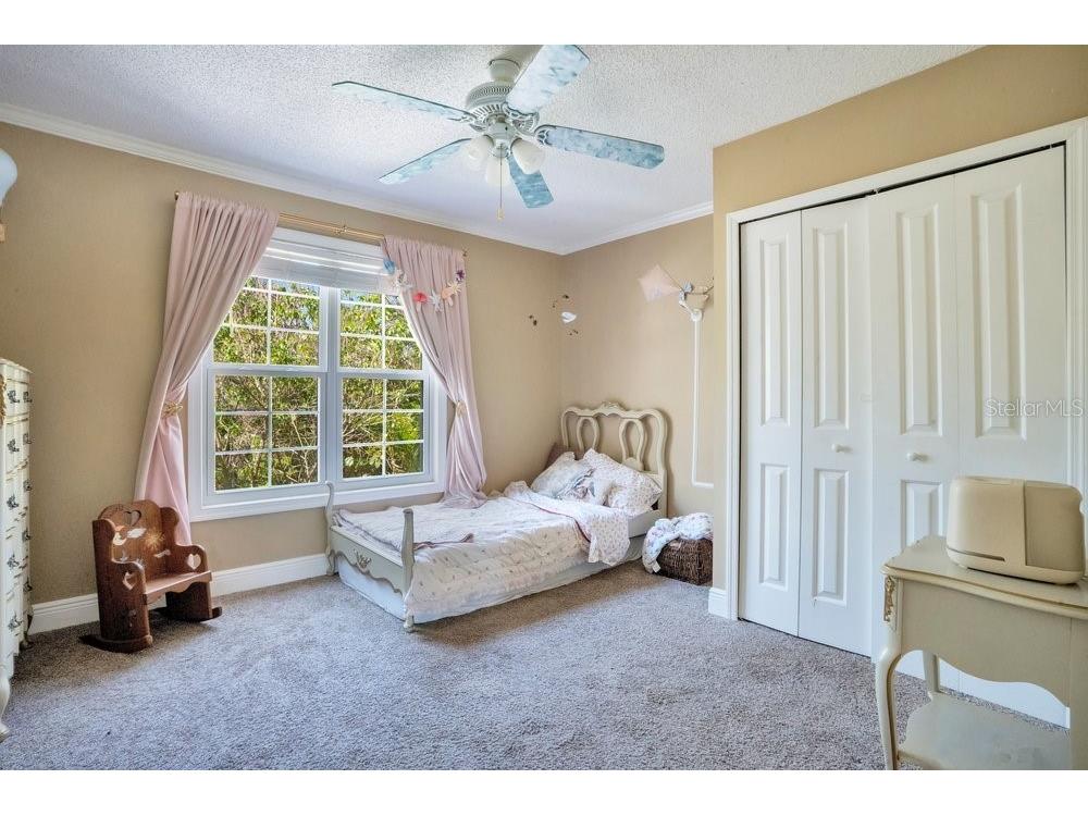 3858 Shore Boulevard Oldsmar FL 34677 TB8506221 image40