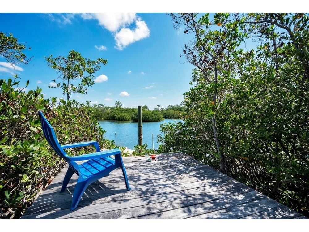 3858 Shore Boulevard Oldsmar FL 34677 TB8506221 image58