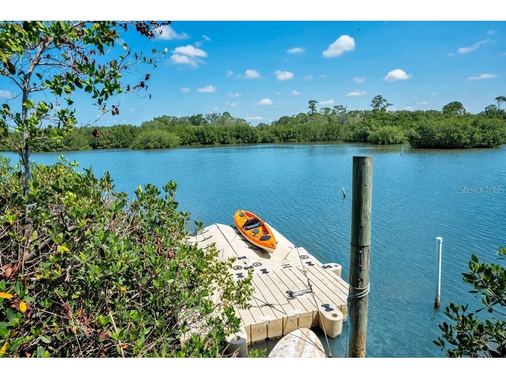 3858 Shore Boulevard Oldsmar FL 34677 TB8506221 image59