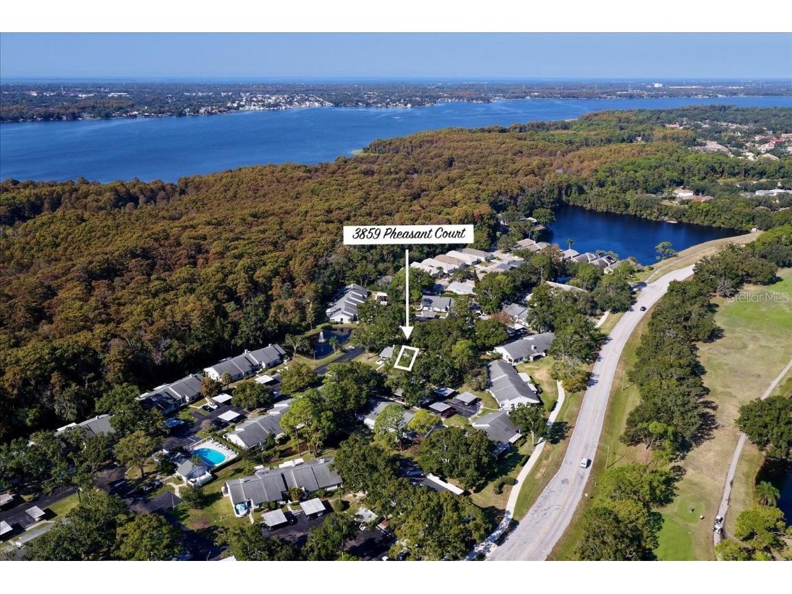 3859 Pheasant Court Palm Harbor FL 34685 TB8448572 image1