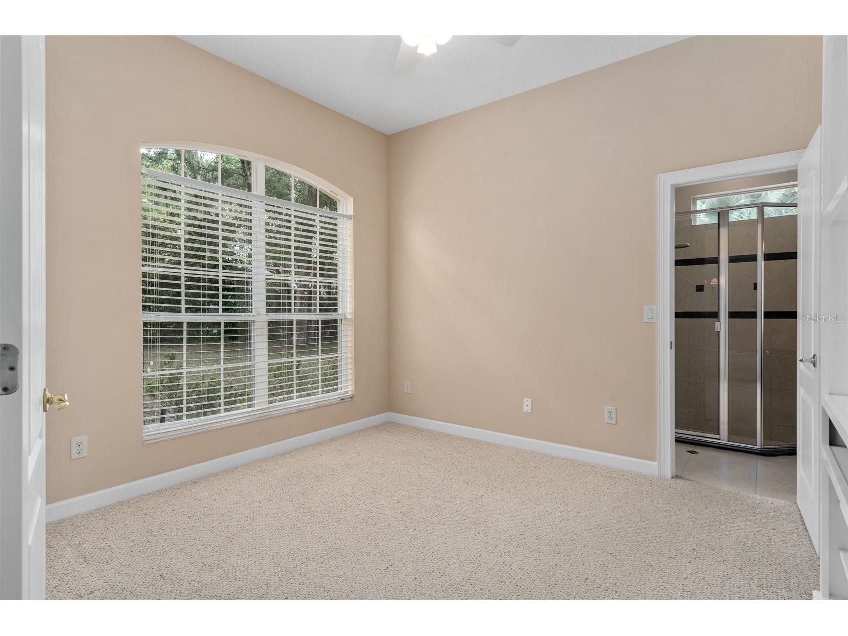 386 Chinahill Court Apopka FL 32712 O6395353 image15