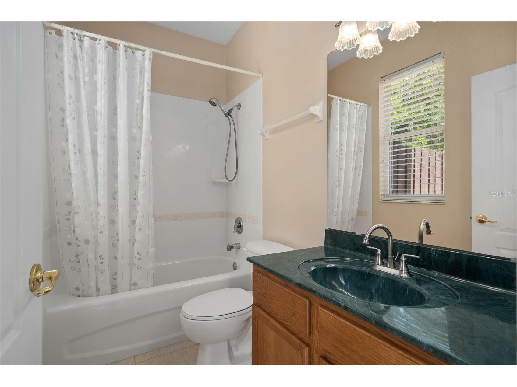 386 Chinahill Court Apopka FL 32712 O6395353 image39