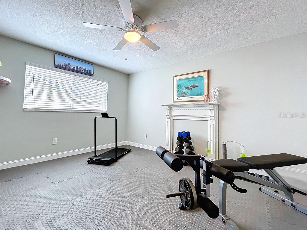 386 Westwinds Drive Palm Harbor FL 34683 - GULF OF MEXICO TB8445575 image50