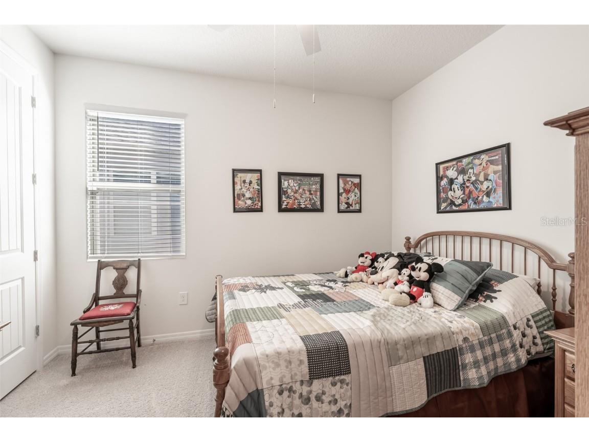 3860 Goldenrod Court Clermont FL 34714 G5104703 image21