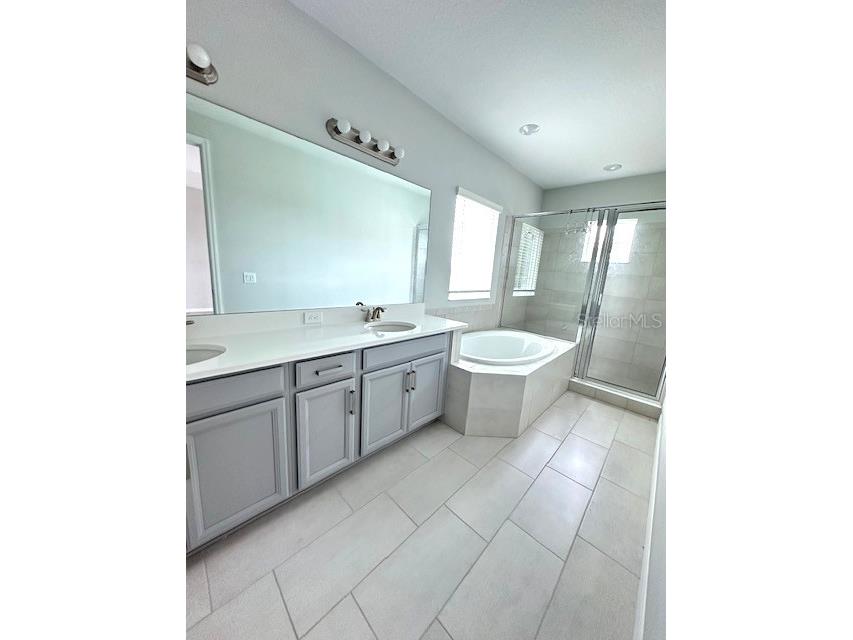 3860 Rose Mallow Drive Kissimmee FL 34746 O6379370 image11