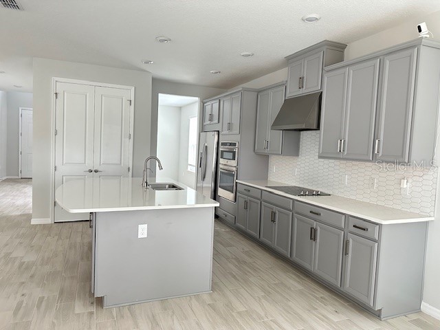3860 Rose Mallow Drive Kissimmee FL 34746 O6379370 image3