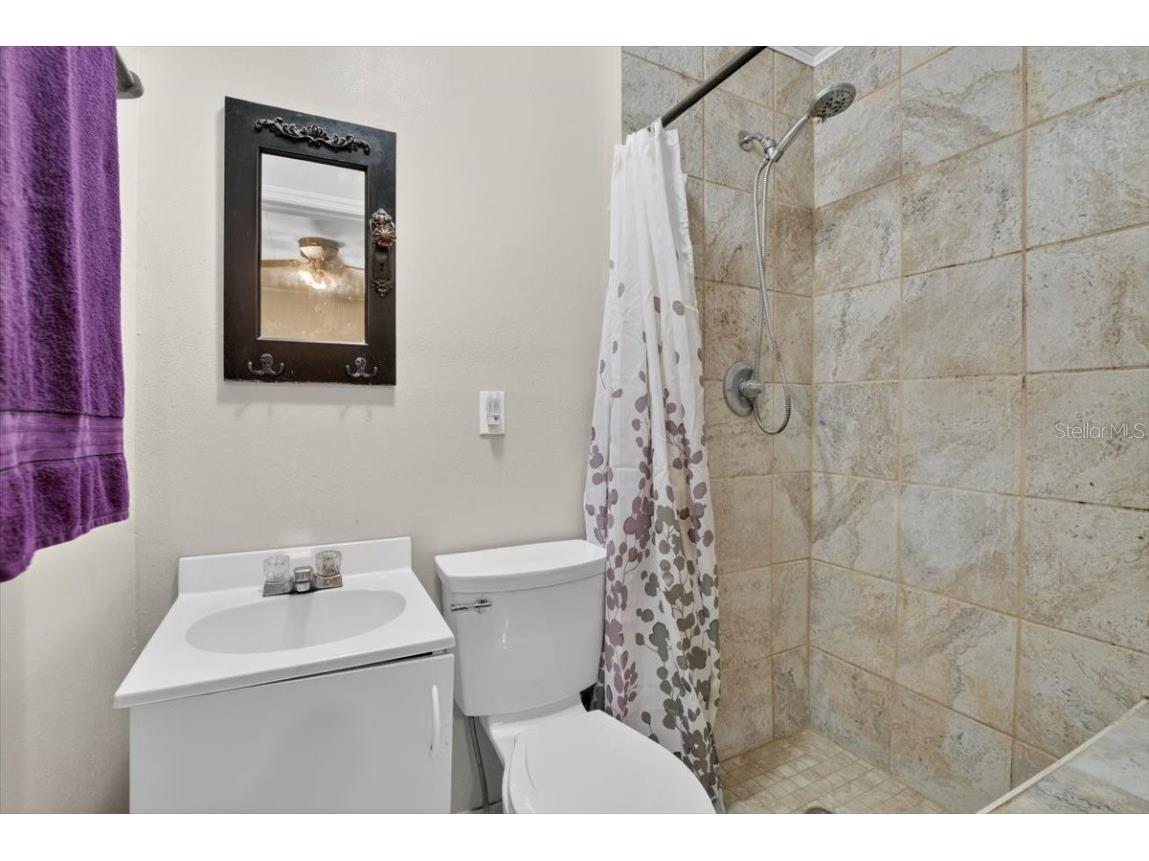 38606 3rd Avenue Zephyrhills FL 33542 TB8455310 image19