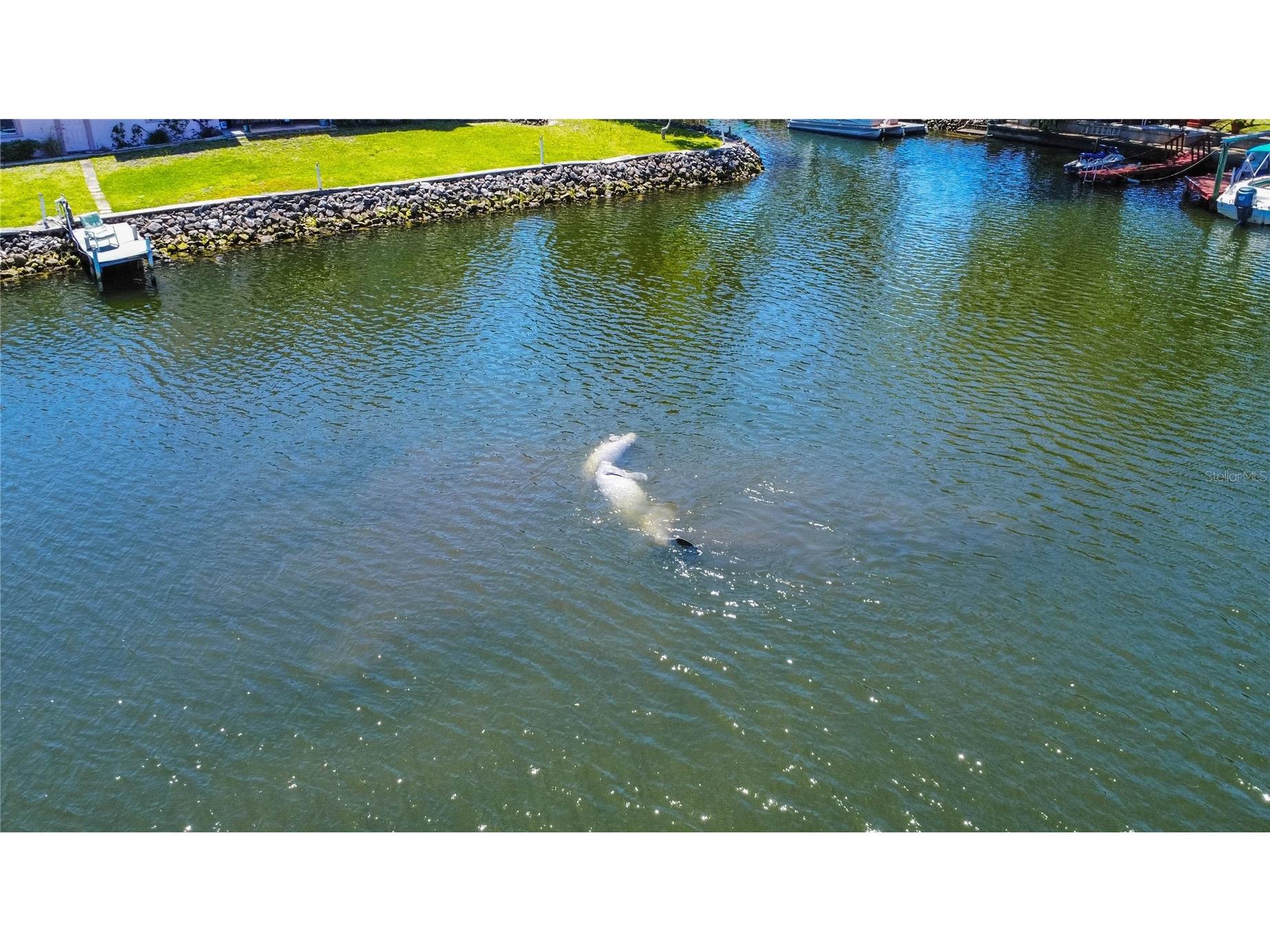 3861 N Ringdove Point Crystal River FL 34428 - INDIAN LAKE & CRYSTAL RIVER A4684422 image39