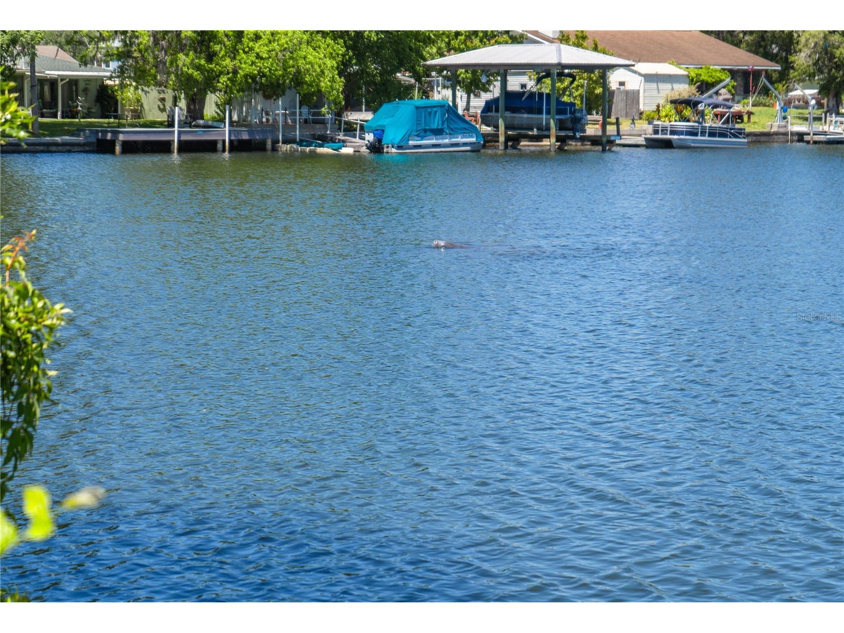 3861 N Ringdove Point Crystal River FL 34428 - INDIAN LAKE & CRYSTAL RIVER A4684422 image42