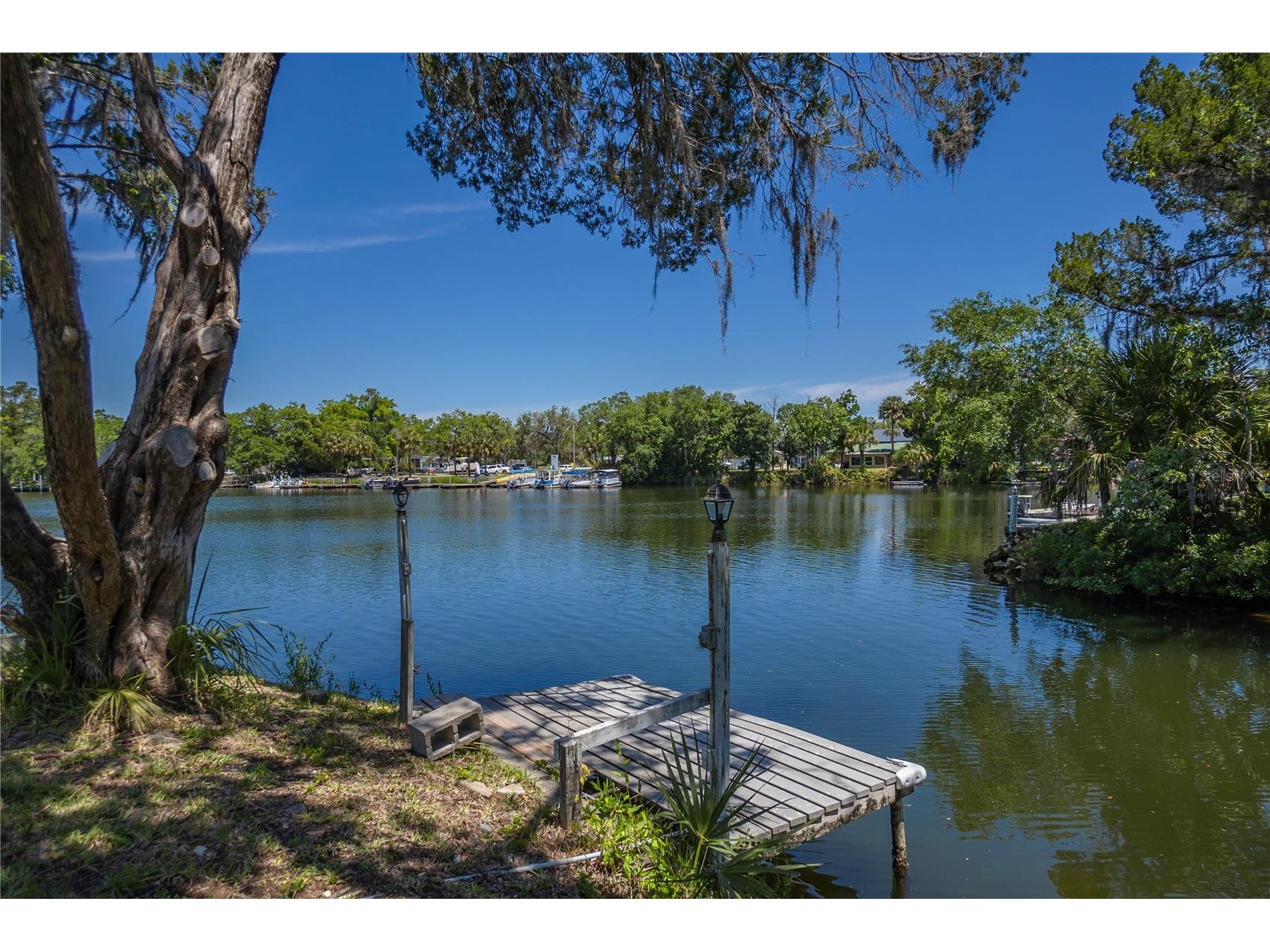 3861 N Ringdove Point Crystal River FL 34428 - INDIAN LAKE & CRYSTAL RIVER A4684422 image8