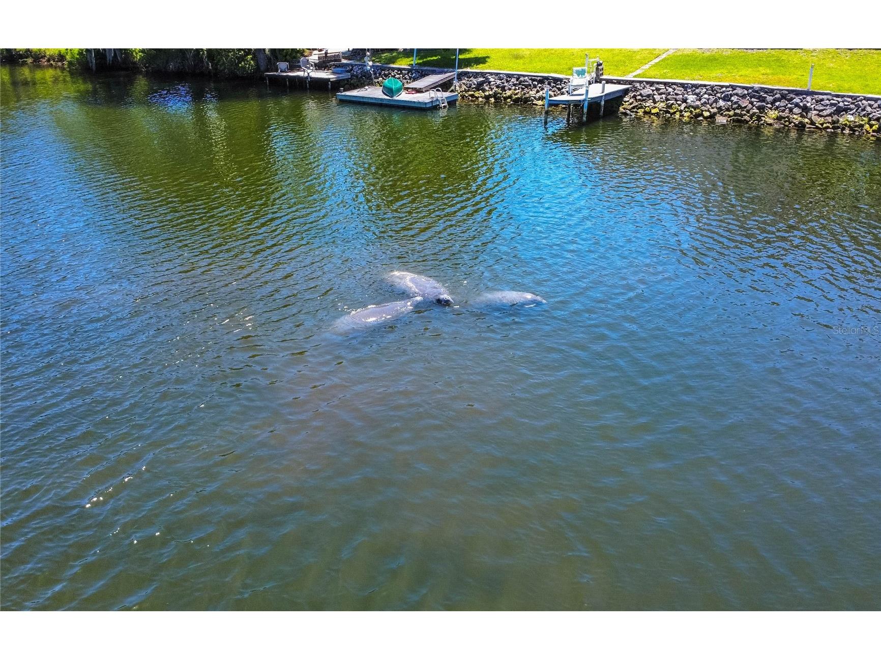 3861 N Ringdove Point Crystal River FL 34428 - INDIAN LAKE & CRYSTAL RIVER A4684422 image9