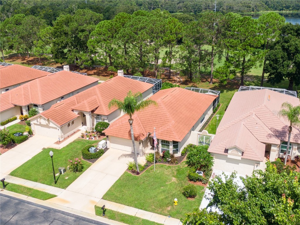 3861 Nottingham Drive Tarpon Springs FL 34688 TB8422079 image1