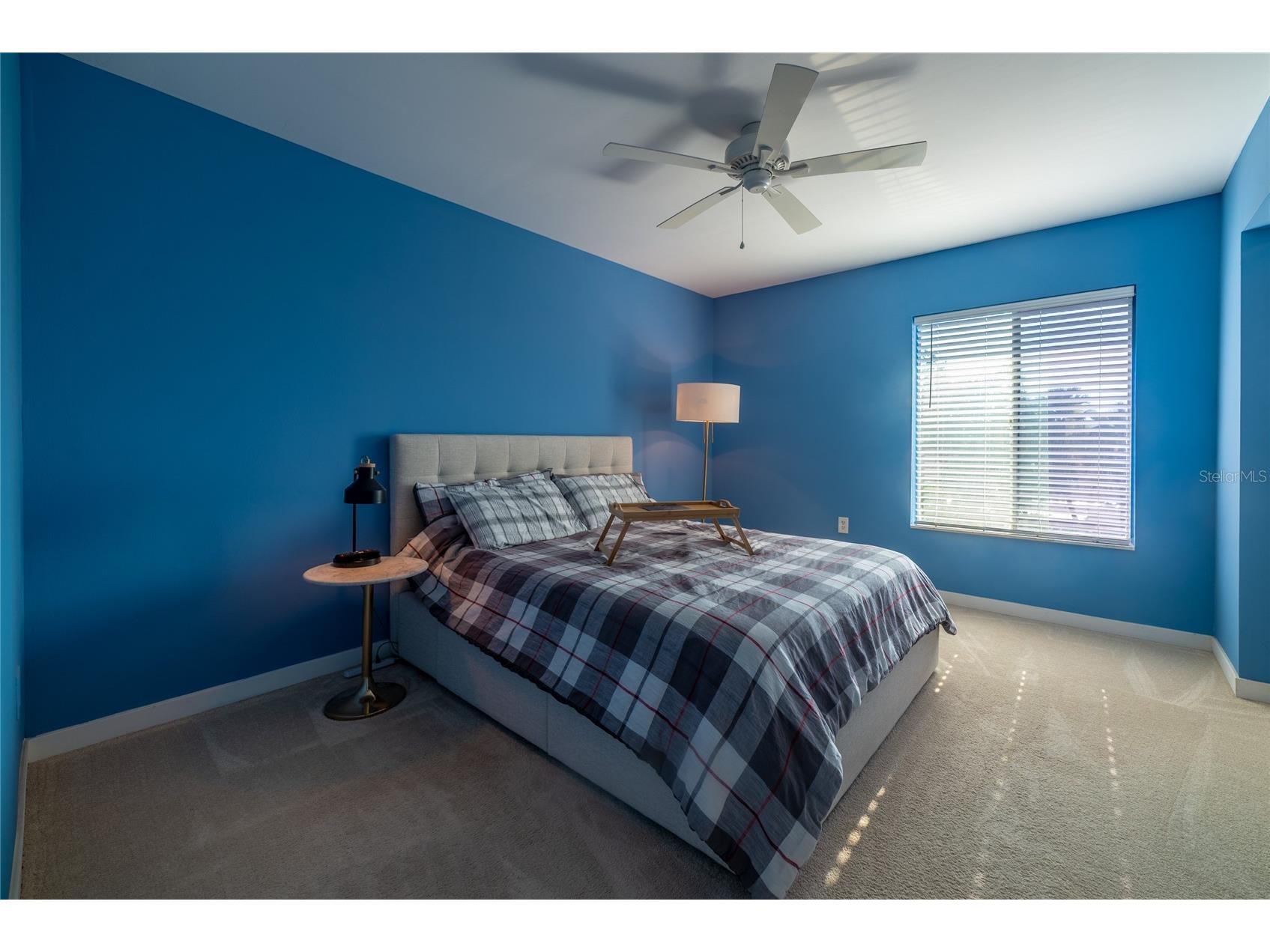 3861 S Lake Drive #156 Tampa FL 33614 TB8419019 image17
