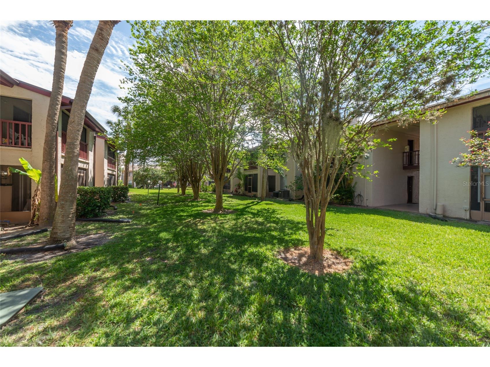 3861 S Lake Drive #156 Tampa FL 33614 TB8419019 image27