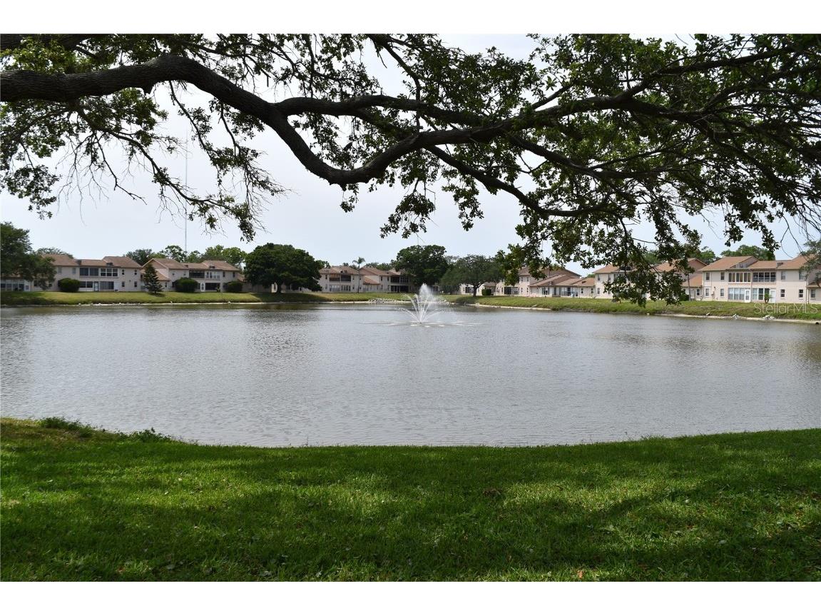 3861 Sailmaker Lane #3861 Holiday FL 34691 TB8384215 image1