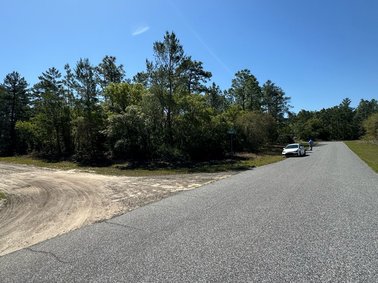 3861 W Malby Lane Dunnellon FL 34433 O6384766 image3