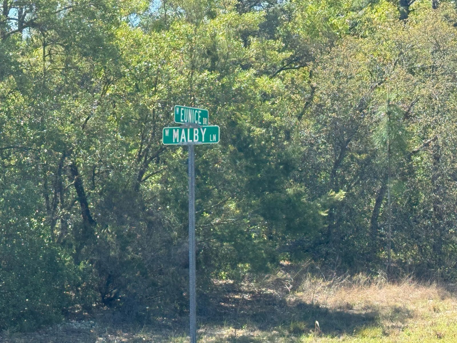 3861 W Malby Lane Dunnellon FL 34433 O6384766 image4