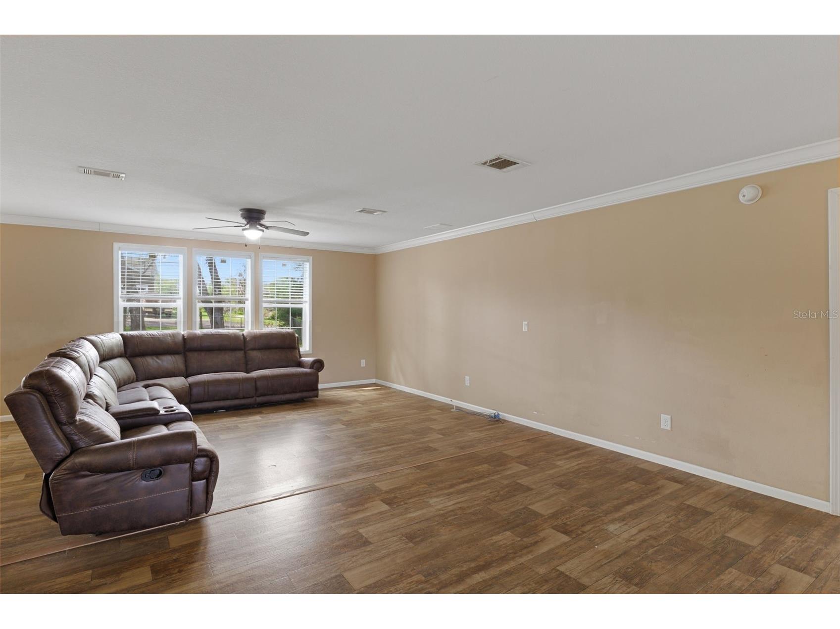 38616 Coleen Avenue Zephyrhills FL 33540 A4688629 image15