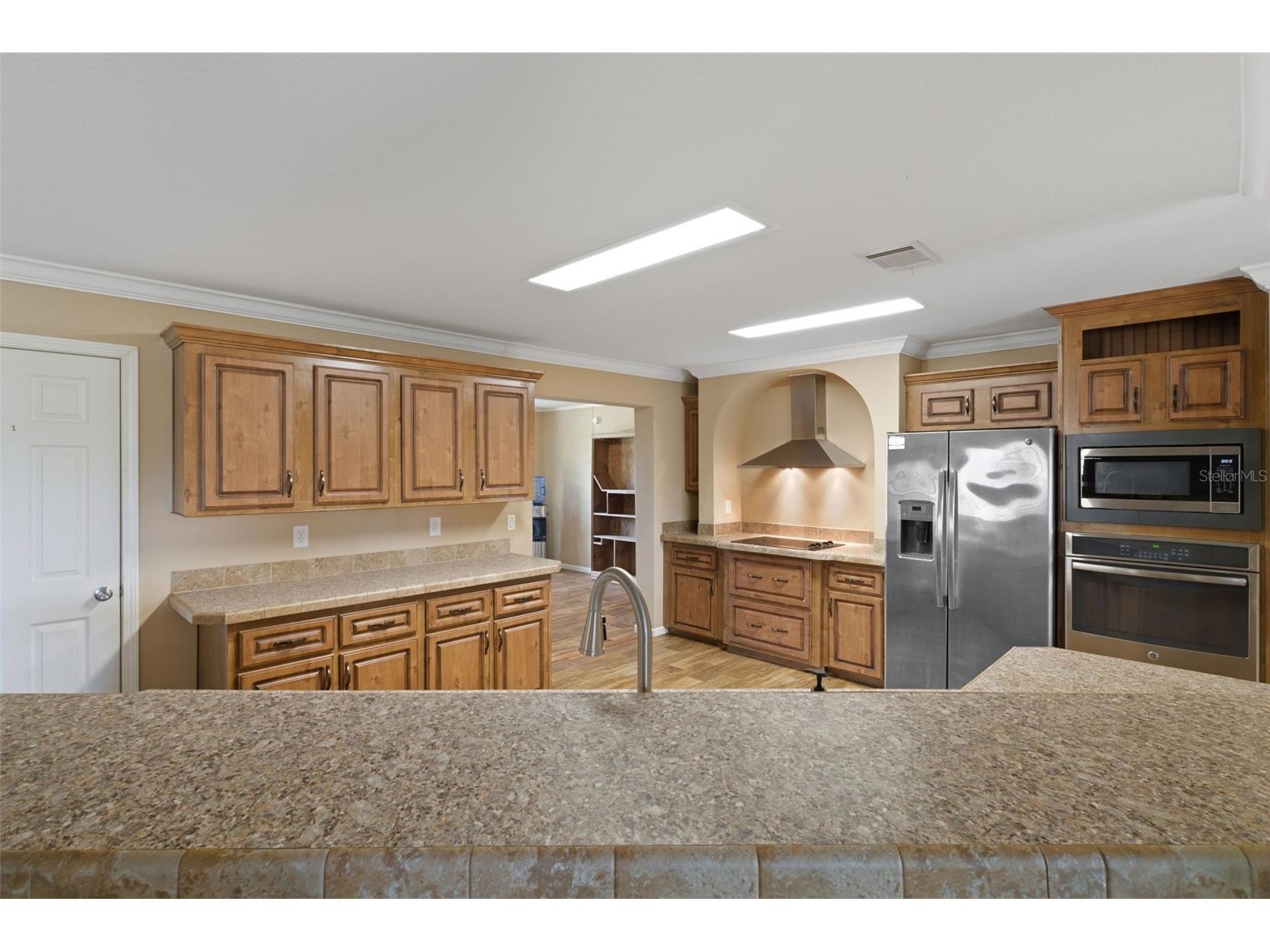 38616 Coleen Avenue Zephyrhills FL 33540 A4688629 image20