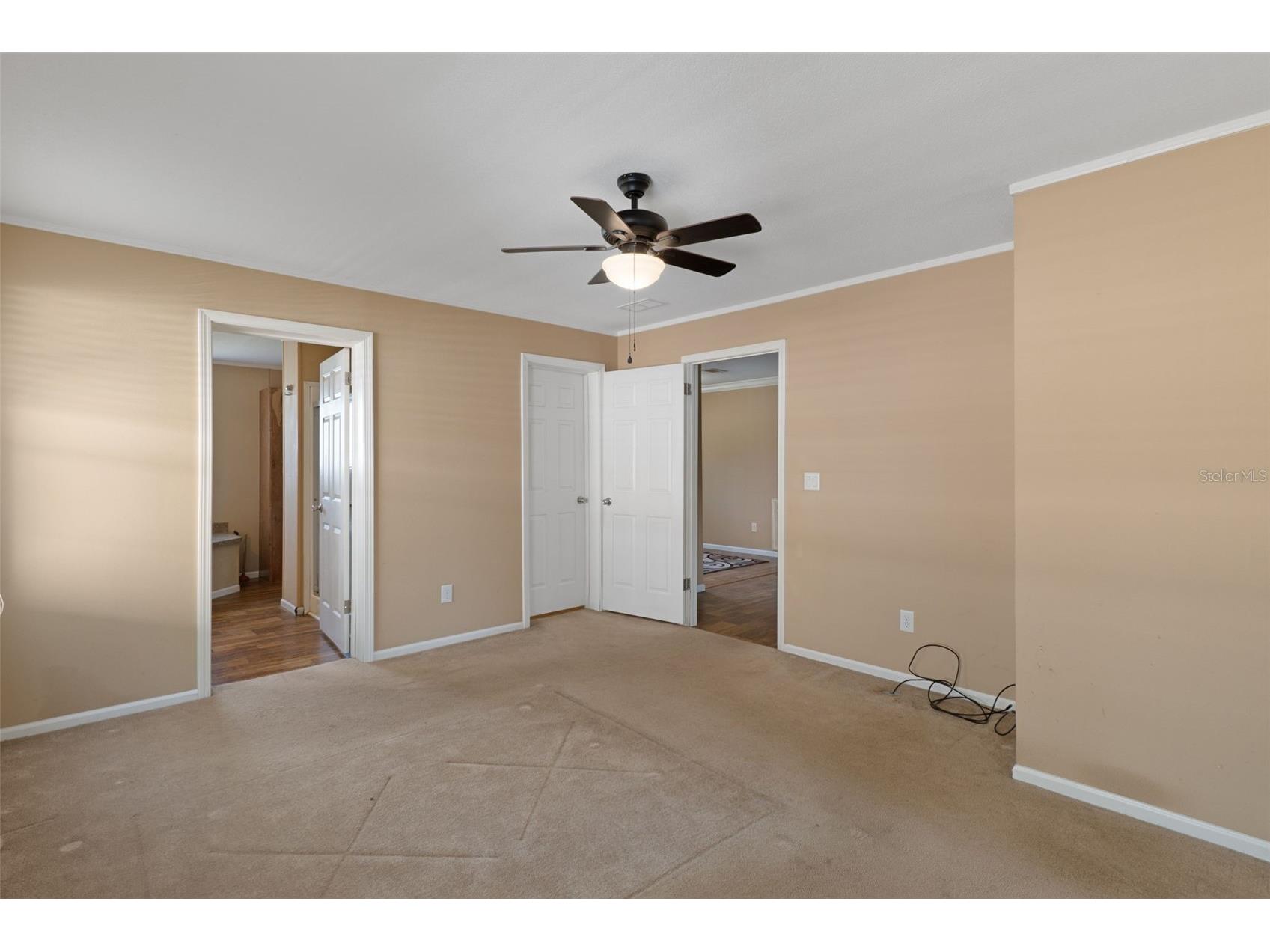 38616 Coleen Avenue Zephyrhills FL 33540 A4688629 image30