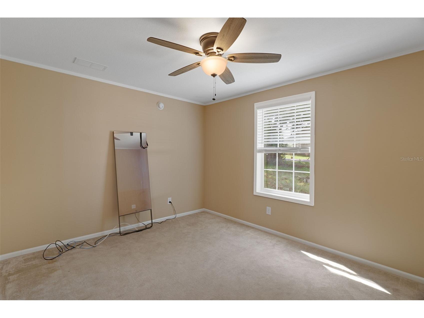 38616 Coleen Avenue Zephyrhills FL 33540 A4688629 image32