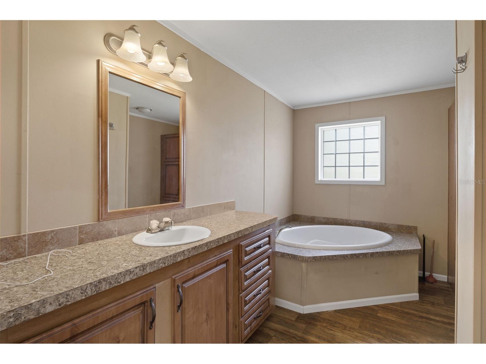 38616 Coleen Avenue Zephyrhills FL 33540 A4688629 image36