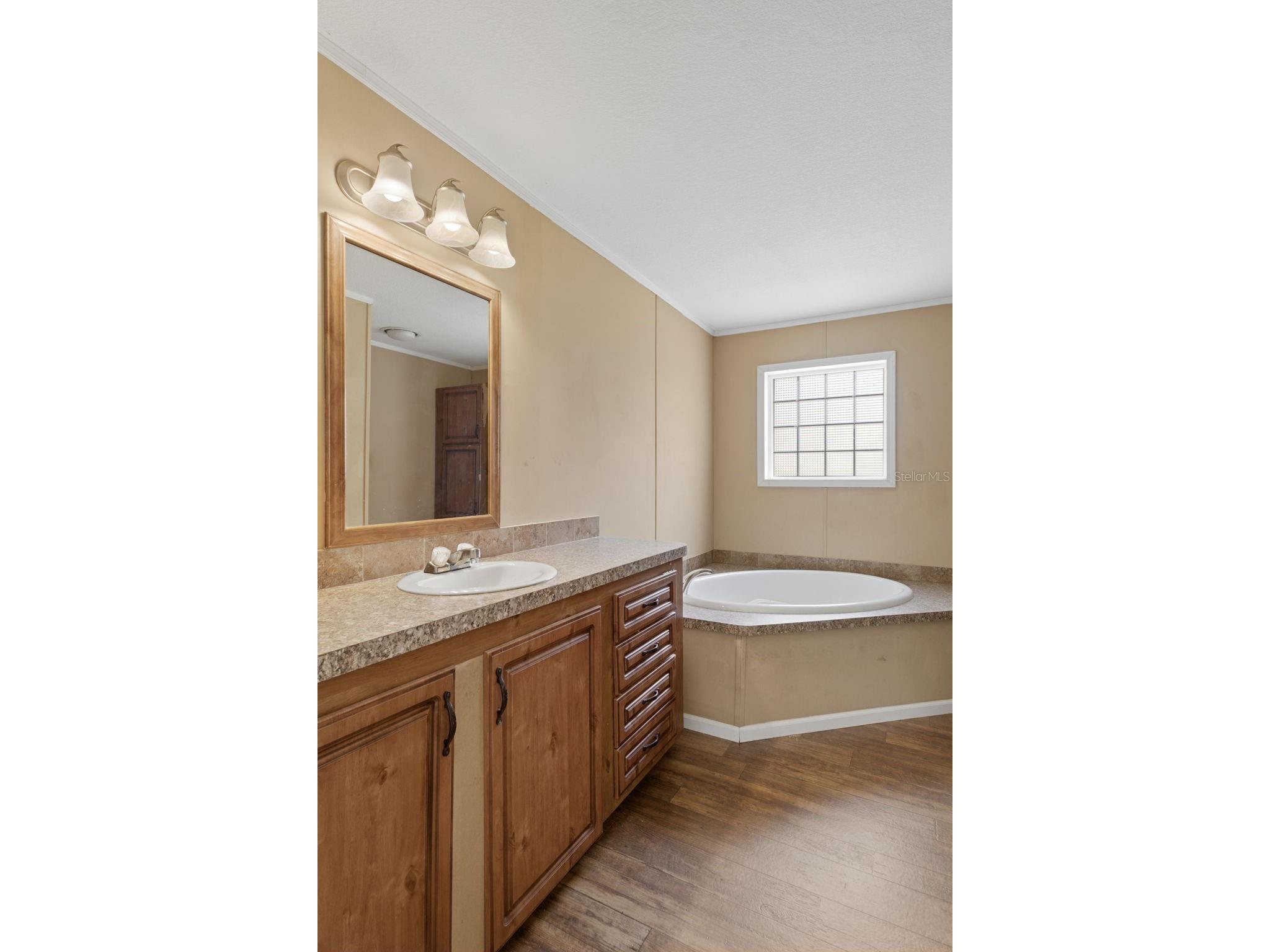 38616 Coleen Avenue Zephyrhills FL 33540 A4688629 image37