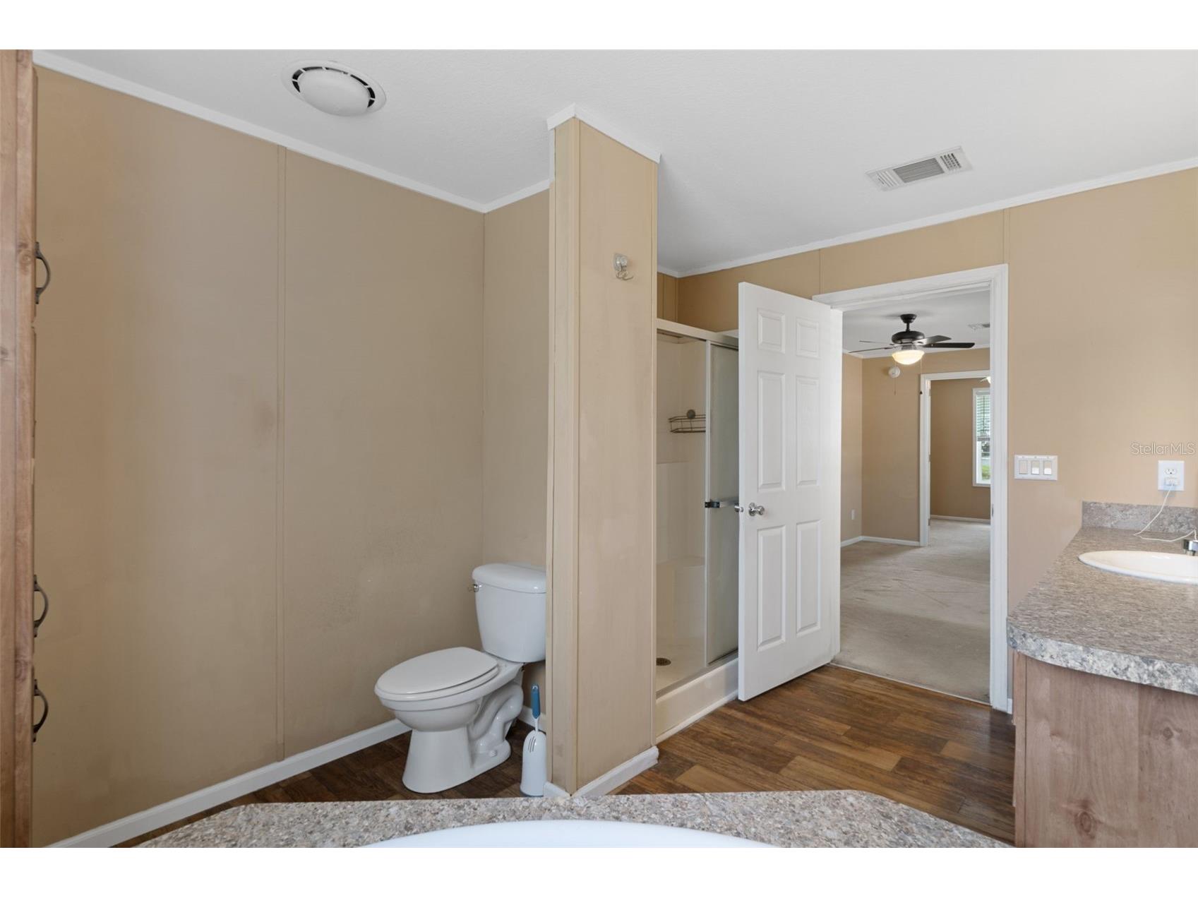 38616 Coleen Avenue Zephyrhills FL 33540 A4688629 image38