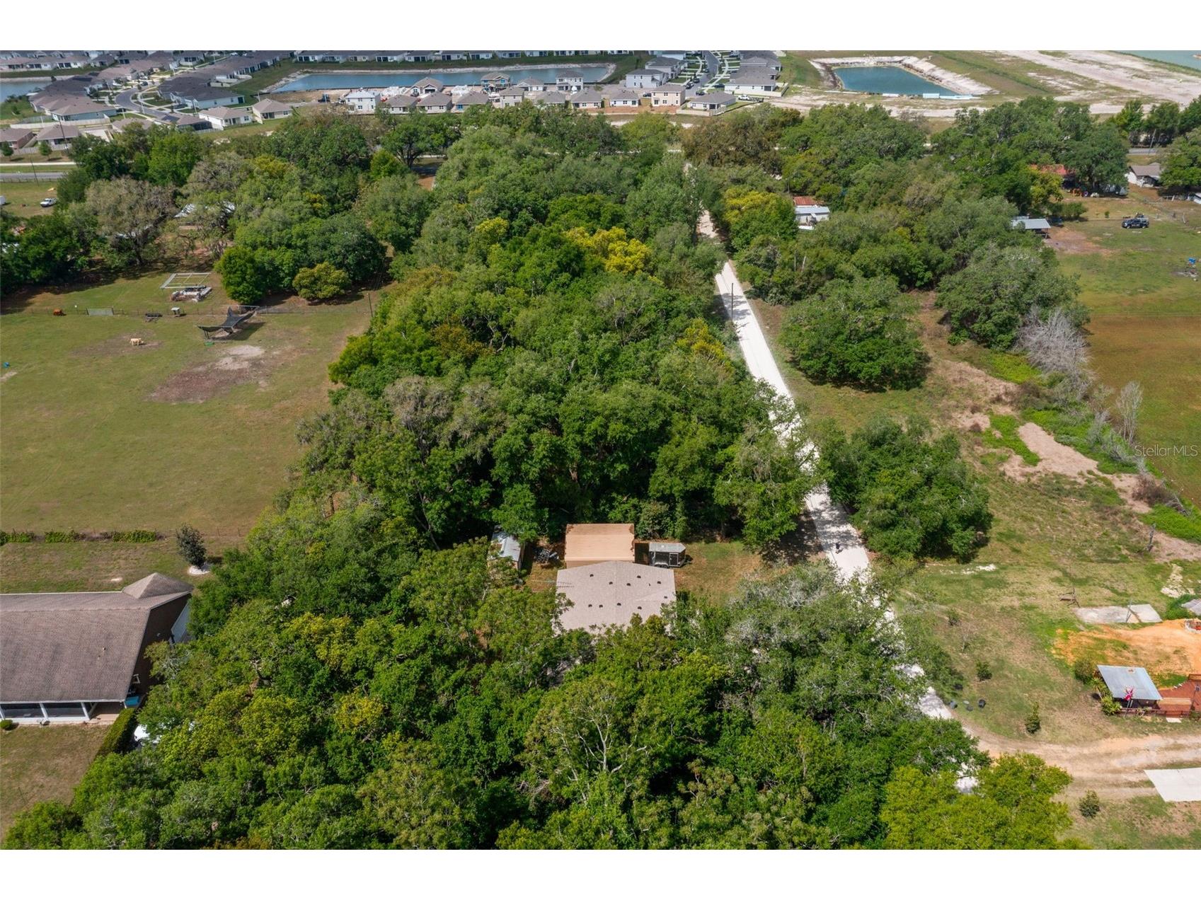 38616 Coleen Avenue Zephyrhills FL 33540 A4688629 image4