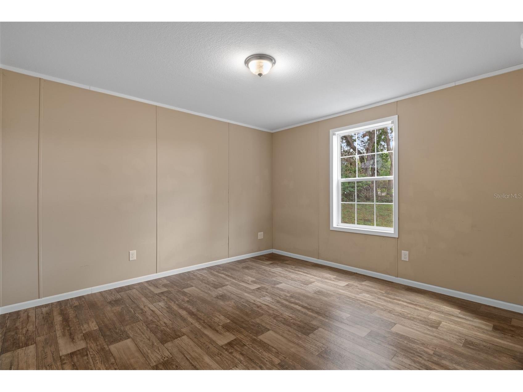 38616 Coleen Avenue Zephyrhills FL 33540 A4688629 image53