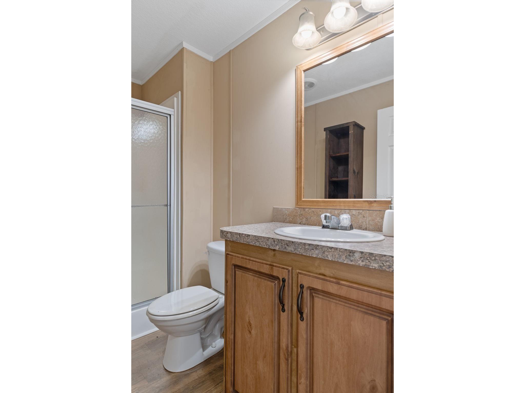 38616 Coleen Avenue Zephyrhills FL 33540 A4688629 image56