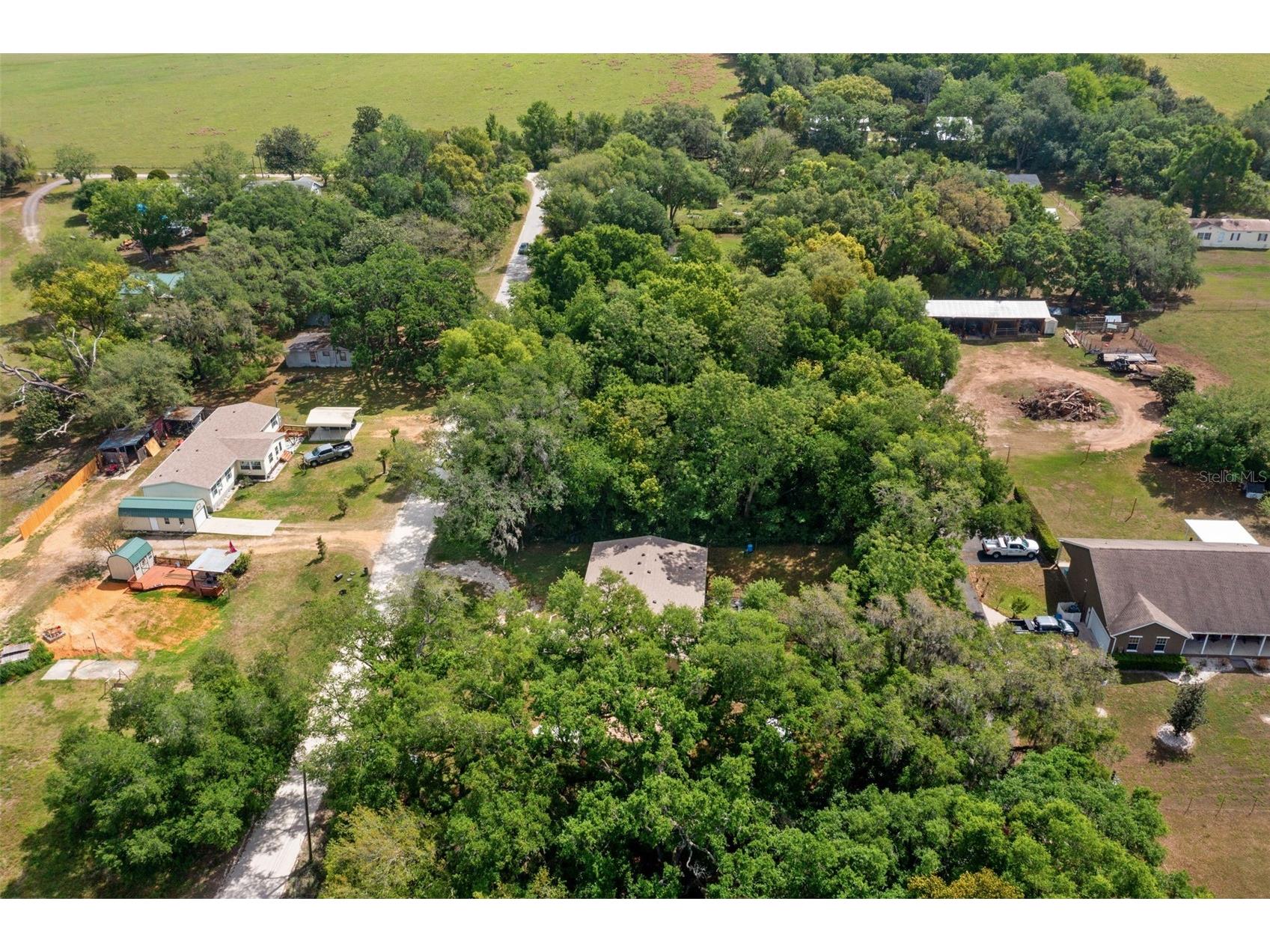 38616 Coleen Avenue Zephyrhills FL 33540 A4688629 image7